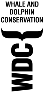 1200px-wdc-logo-2013-svg_orig (1)